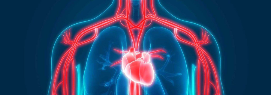 Grand Pharma’s Cardiovascular and Cerebrovascular Precision Interventional Diagnostics Segment Receives Approvals for Three Major Products
